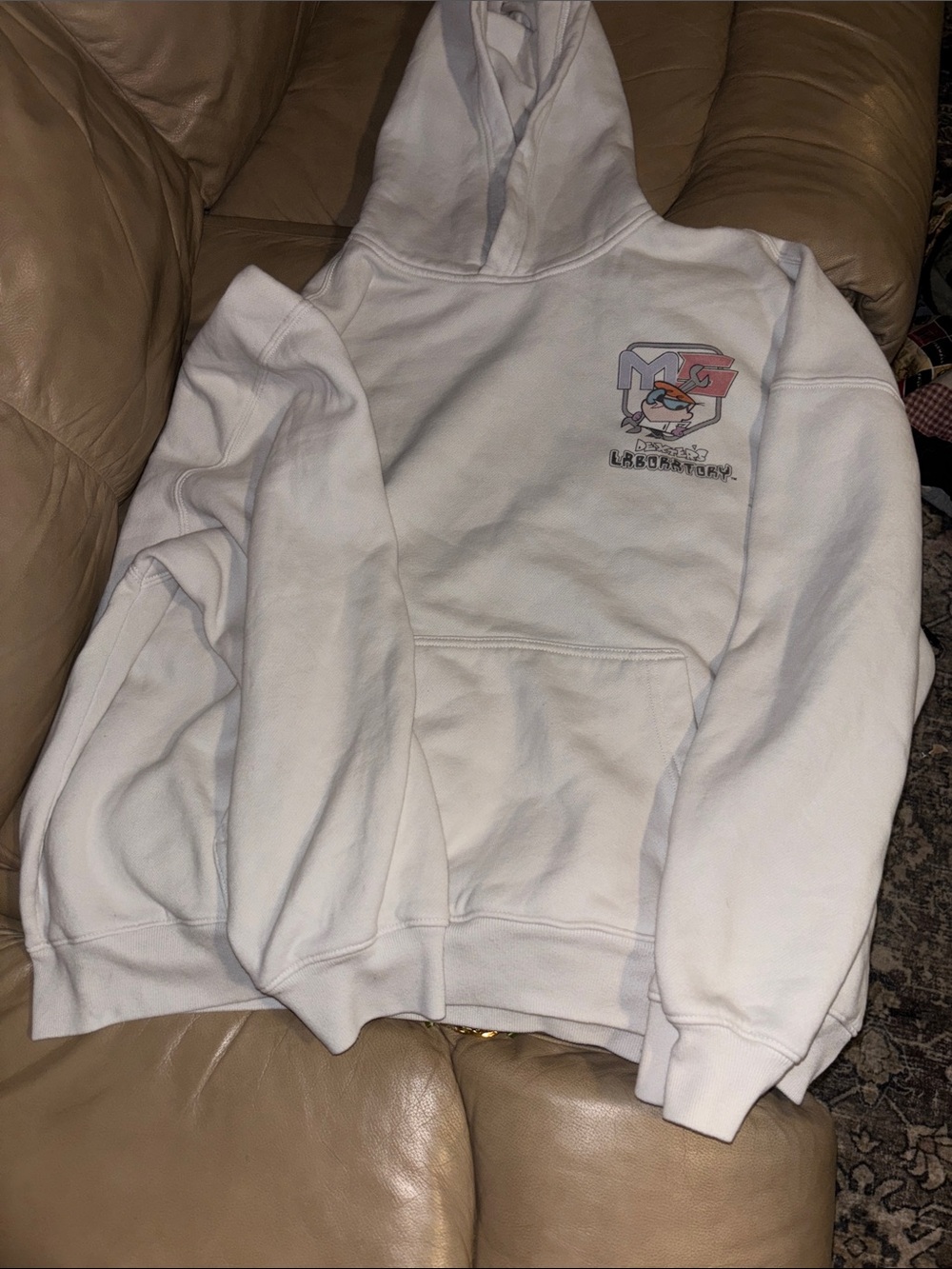 Boxy fit Dexter’s laboratory Mens Hollister hoodie